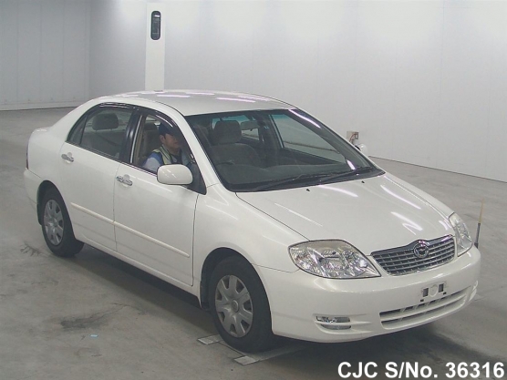 2003 Toyota / Corolla Stock No. 36316