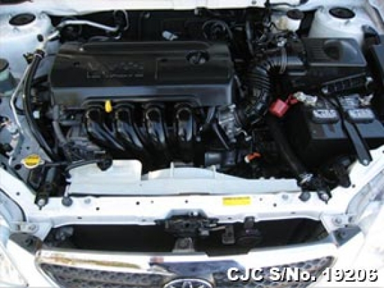 2007 Toyota / Corolla Stock No. 19206