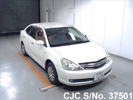 2007 Toyota / Allion Stock No. 37501