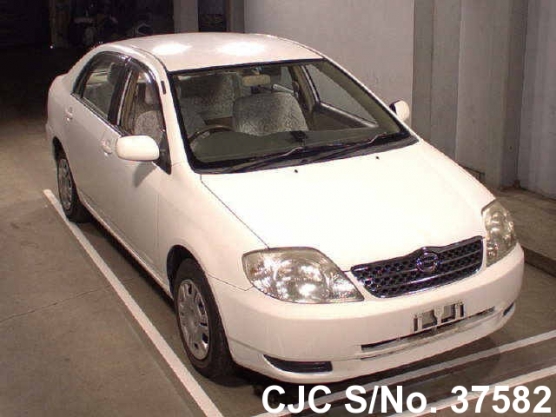 2001 Toyota / Corolla Stock No. 37582