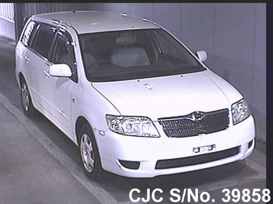 2004 Toyota / Corolla Fielder Stock No. 39858