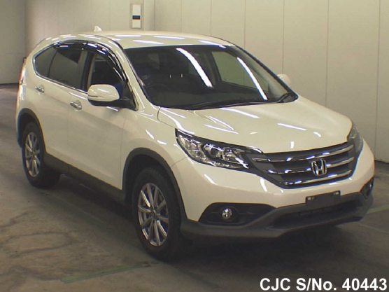 2013 Honda / CRV Stock No. 40443