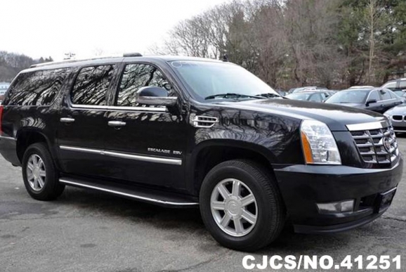 2011 Cadillac / Escalade Stock No. 41251