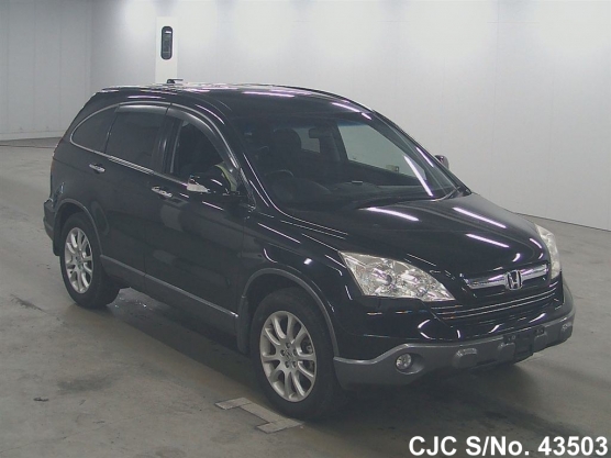 2007 Honda / CRV Stock No. 43503