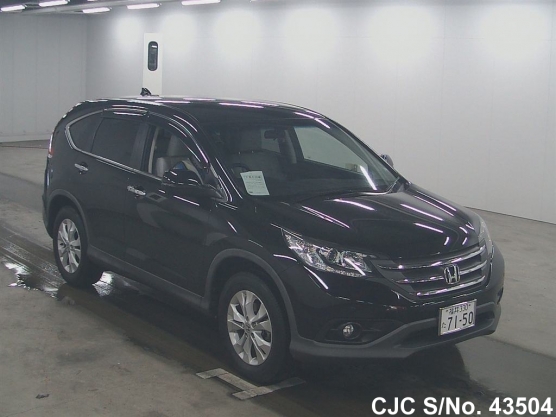 2011 Honda / CRV Stock No. 43504