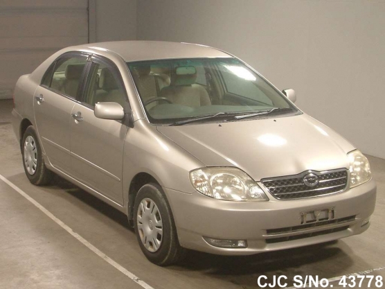 2000 Toyota / Corolla Stock No. 43778