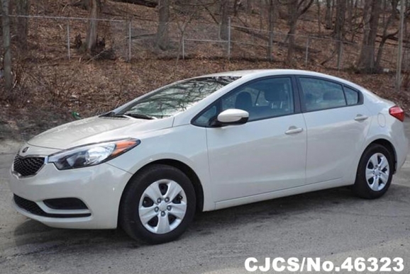 2014 Kia / Forte  Stock No. 46323