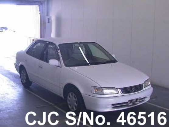 1997 Toyota / Corolla Stock No. 46516