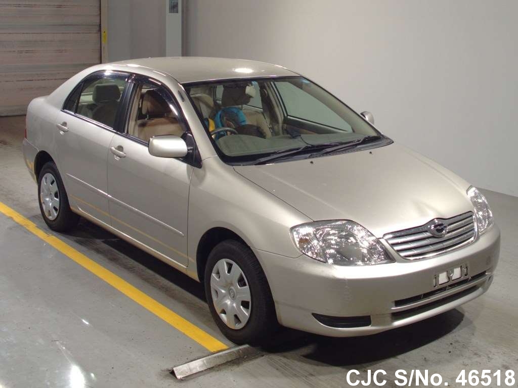2003 Toyota Corolla Beige for sale | Stock No. 46518 | Japanese Used ...