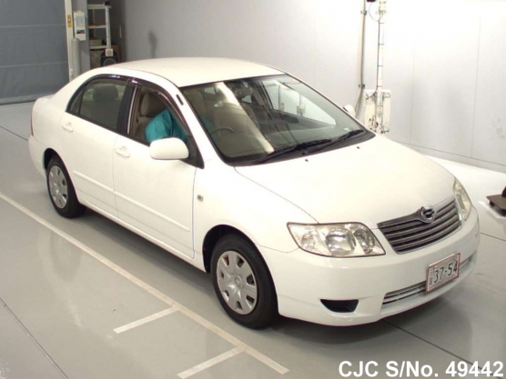 2004 Toyota / Corolla Stock No. 49442