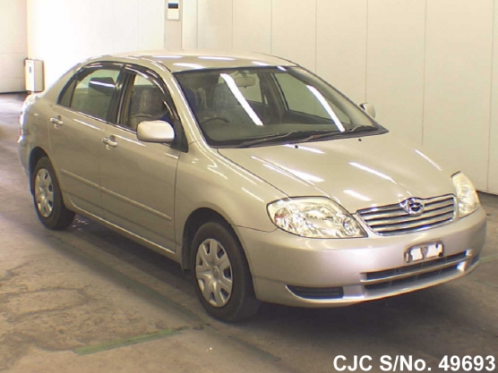 2003 Toyota / Corolla Stock No. 49693