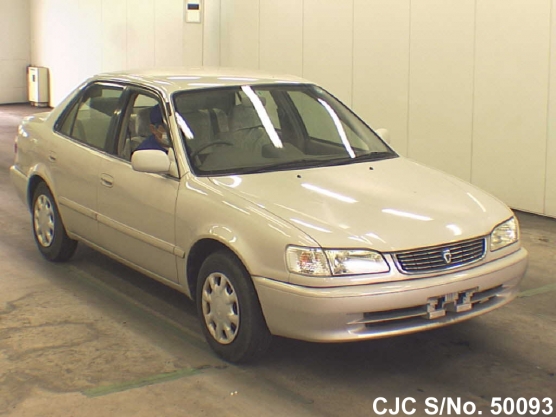 1999 Toyota / Corolla Stock No. 50093