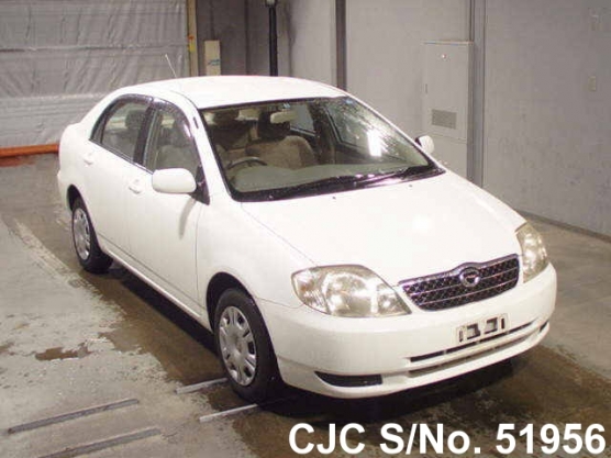 2001 Toyota / Corolla Stock No. 51956