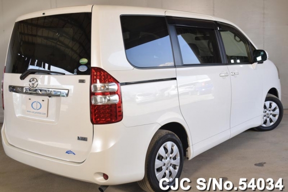 Perla Noa”Err.” Petla Noa Err. コンパクトエフェクター【現物画像】 ペトラ 【 京王