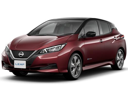 Brand New Nissan LEAF