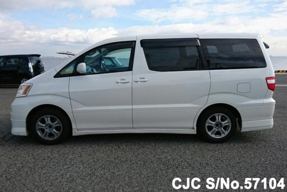 2004 Toyota Alphard White for sale | Stock No. 57104 | Japanese