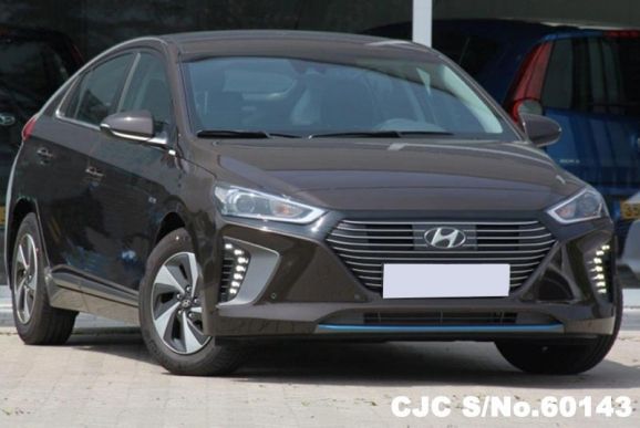 2017 Hyundai / Ioniq Stock No. 60143