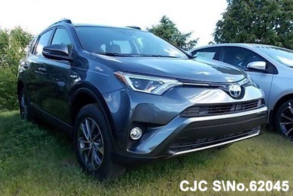 2017 Toyota / Rav4 Stock No. 62045