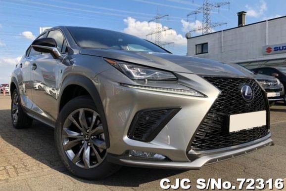 2018 Lexus / NX 300h Stock No. 72316