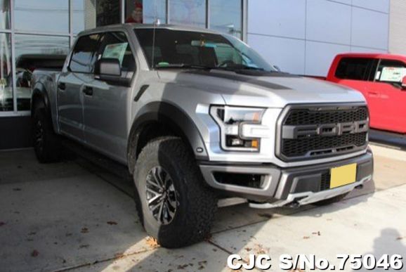 2019 Ford / F-150 Stock No. 75046