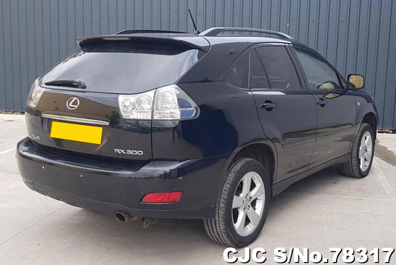 Lexus rx 300 2004