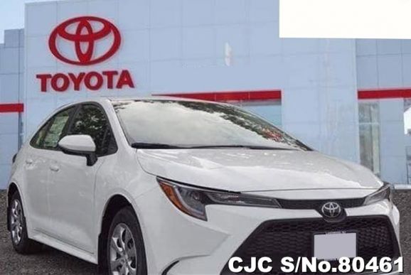 2020 Toyota / Corolla Stock No. 80461