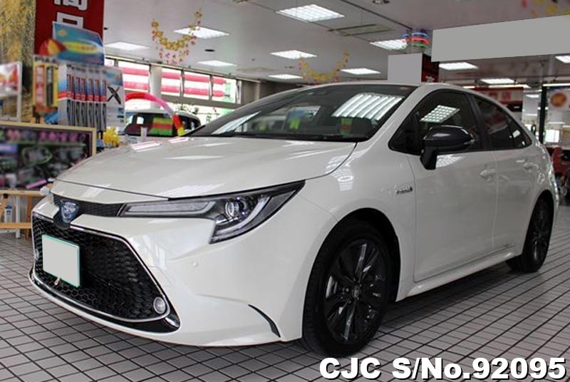 2019 Toyota Corolla White for sale | Stock No. 92095 | Japanese Used