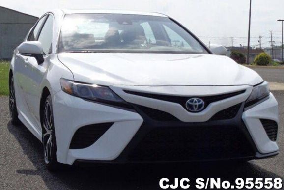 2019 Toyota / Camry Hybrid Stock No. 95558