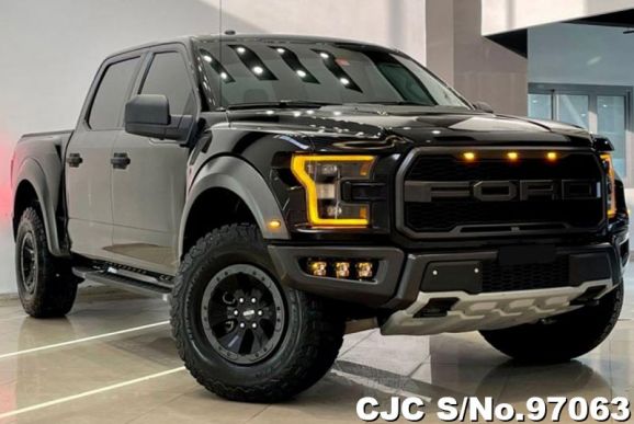 2018 Ford / Raptor Stock No. 97063