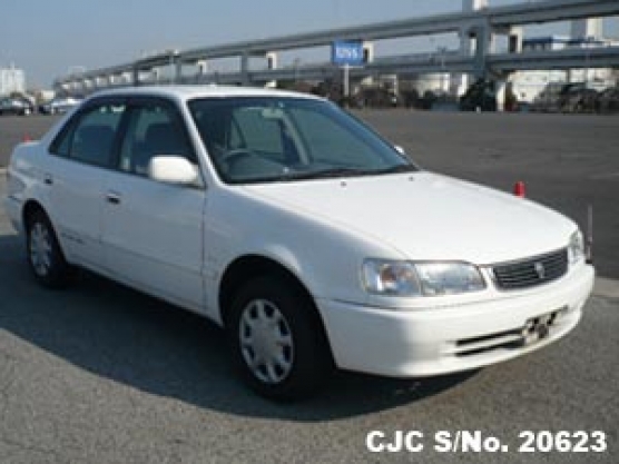 1999 Toyota / Corolla Stock No. 20623