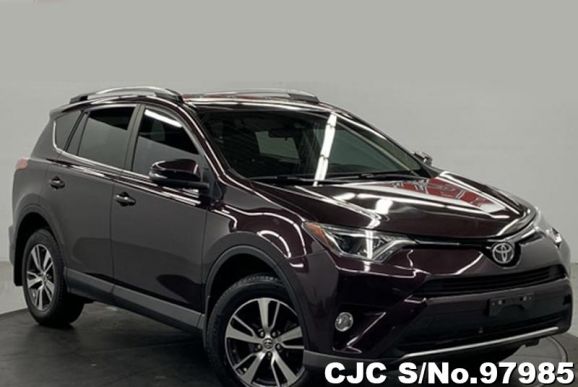 2017 Toyota / Rav4 Stock No. 97985