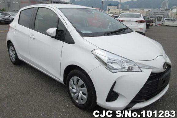 2019 Toyota / Vitz Stock No. 101283