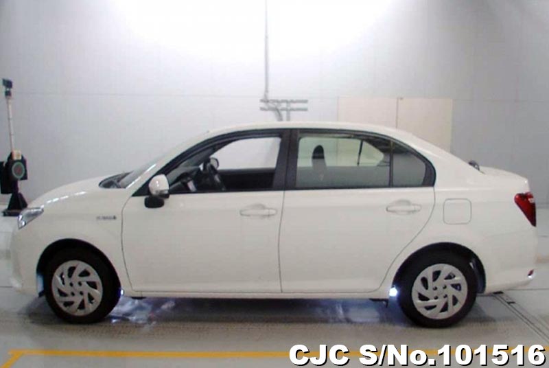 Toyota axio 2019