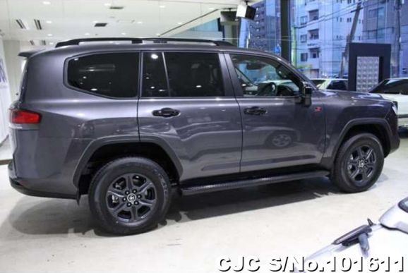 Toyota Land Cruiser in Gray for Sale Image 10