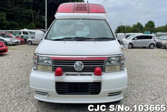 Nissan Elgrand in White for Sale Image 4