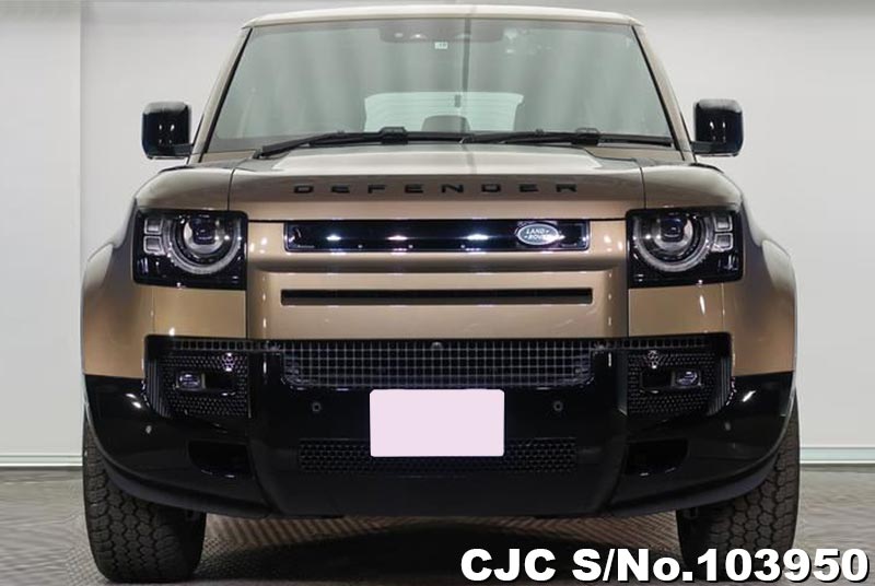 2021 Land Rover Defender Gondwana Stone for sale Stock No. 103950