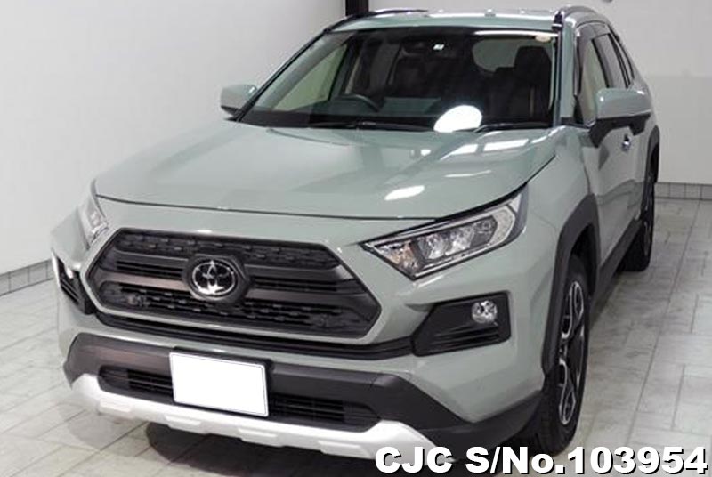 2021 Toyota Rav4 Khaki for sale Stock No. 103954 Japanese Used Cars