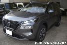 Nissan X-Trail in Gray for Sale Image 0