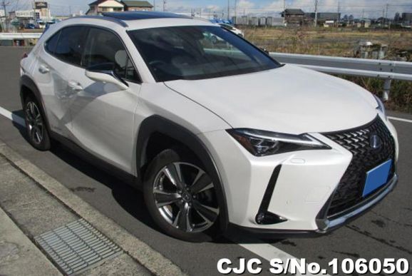 2021 Lexus / UX 300e Stock No. 106050