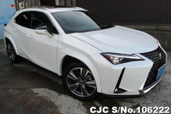 2021 Lexus / UX 300e Stock No. 106222