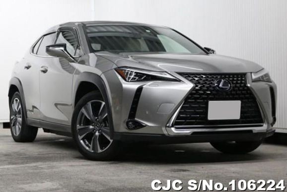 2021 Lexus / UX 300e Stock No. 106224