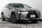 Lexus UX 300e