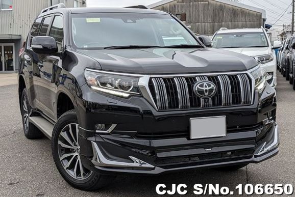 2018 Toyota / Land Cruiser Prado Stock No. 106650