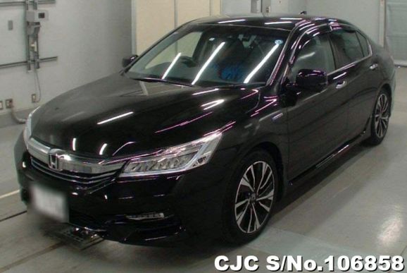 Honda Accord in Black for Sale Image 3