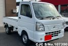 Nissan Clipper in White for Sale Image 0