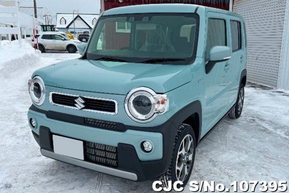 Suzuki Hustler in Blue for Sale Image 3