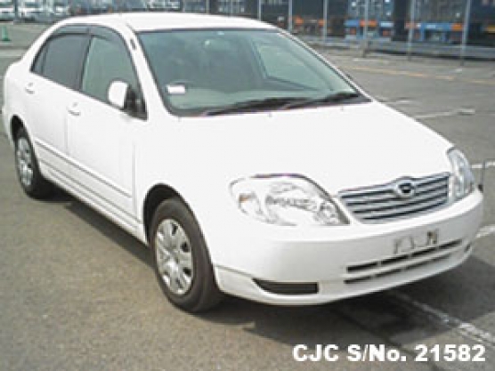 2002 Toyota / Corolla Stock No. 21582