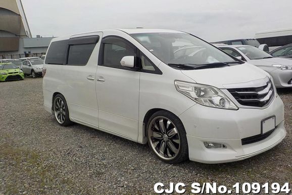 2008 Toyota / Alphard Stock No. 109194