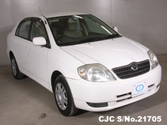 2002 Toyota / Corolla Stock No. 21705