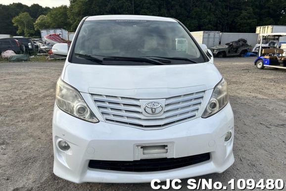 2010 Toyota Alphard White for sale | Stock No. 109480 | Japanese